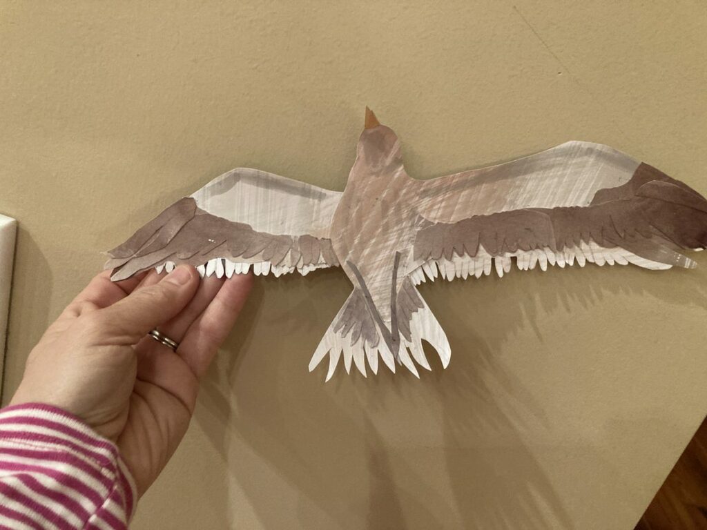 me holding seagull flying, seen from below, paper cut out, can see is tucked feet