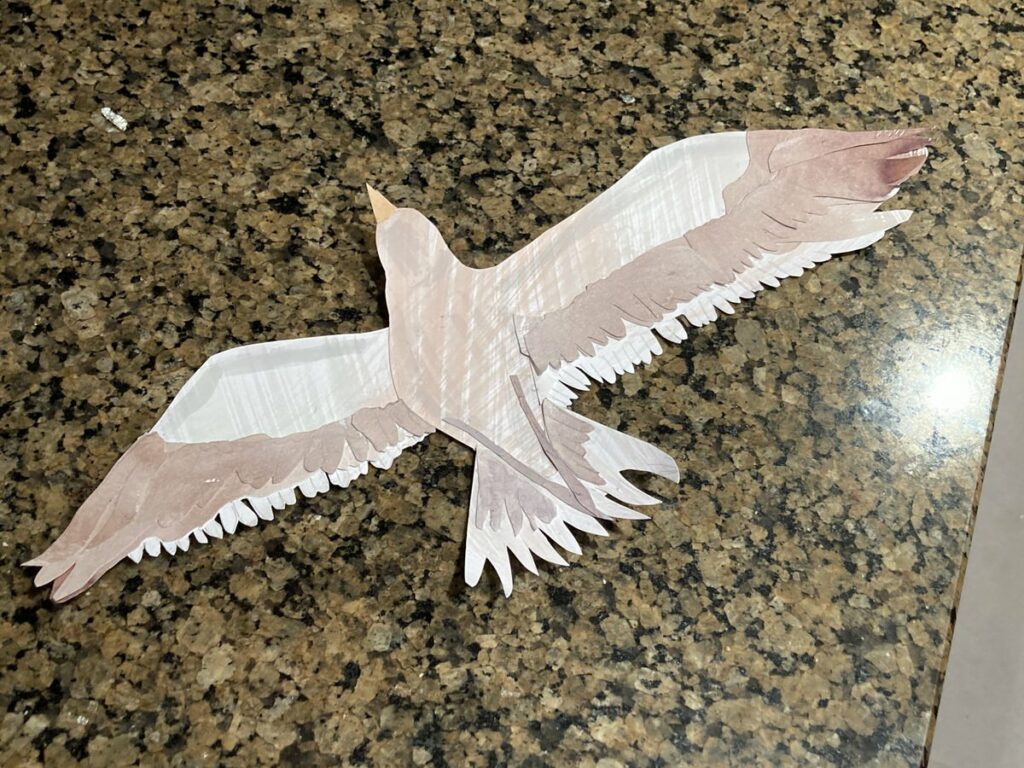 seagull flying, seen from below, paper cut out, can see is tucked feet
