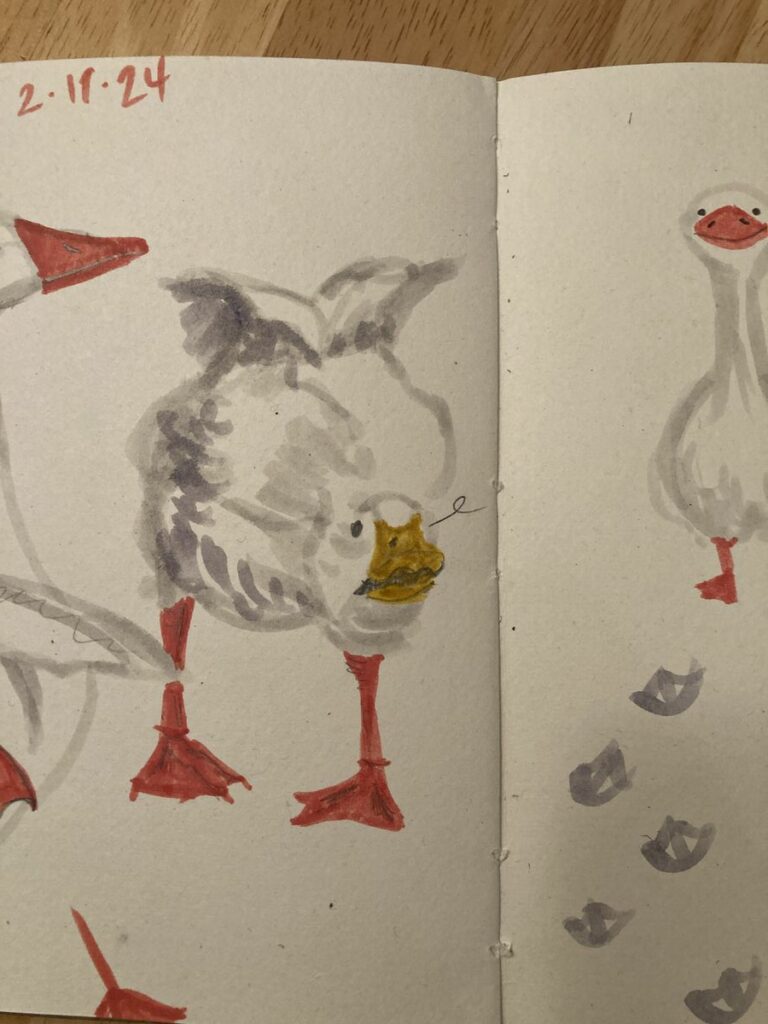 squawking goose original drawing