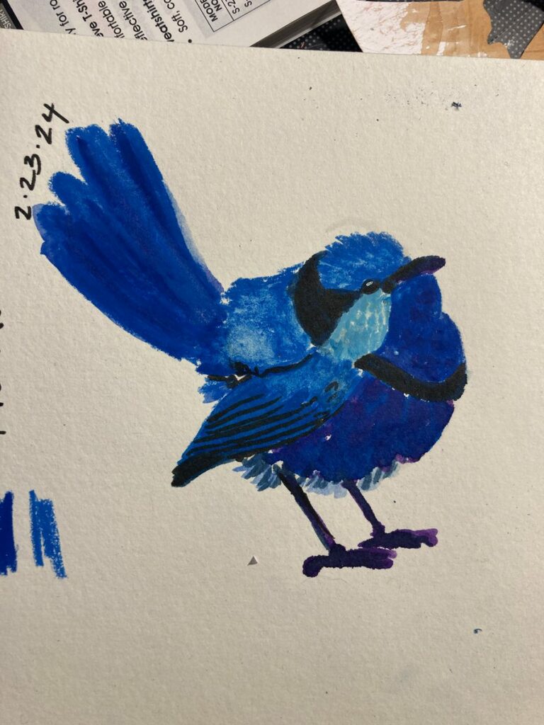 wren blue bird drawn on 2-23-24