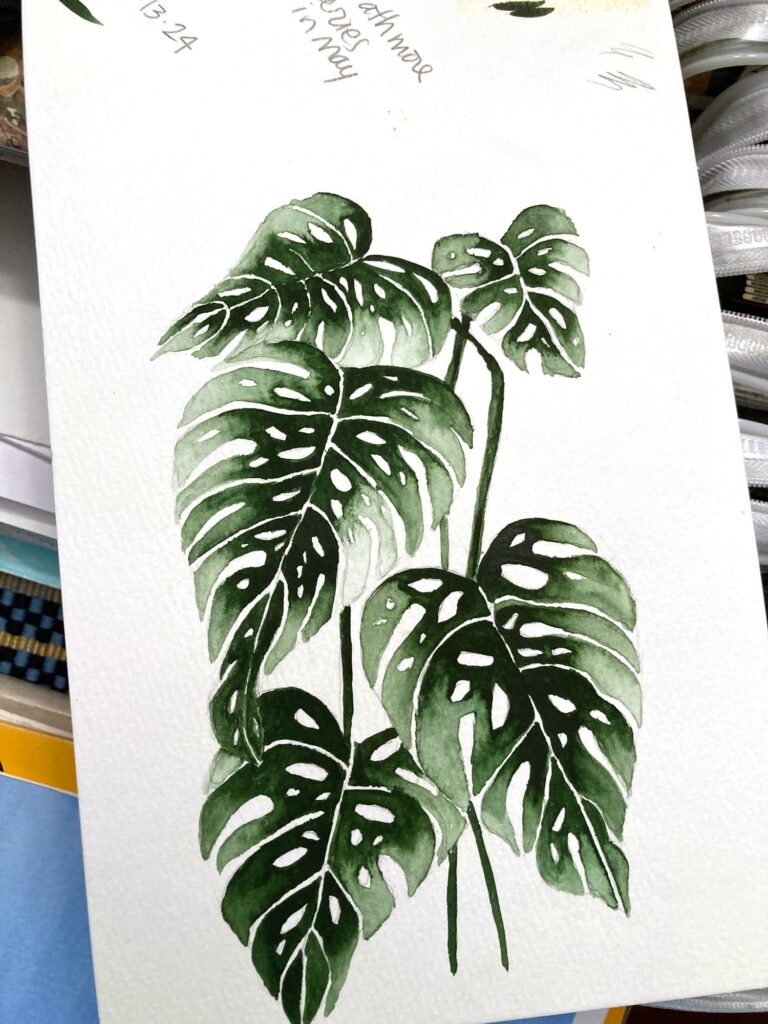 monsterrat plant diane gibbs watercolor