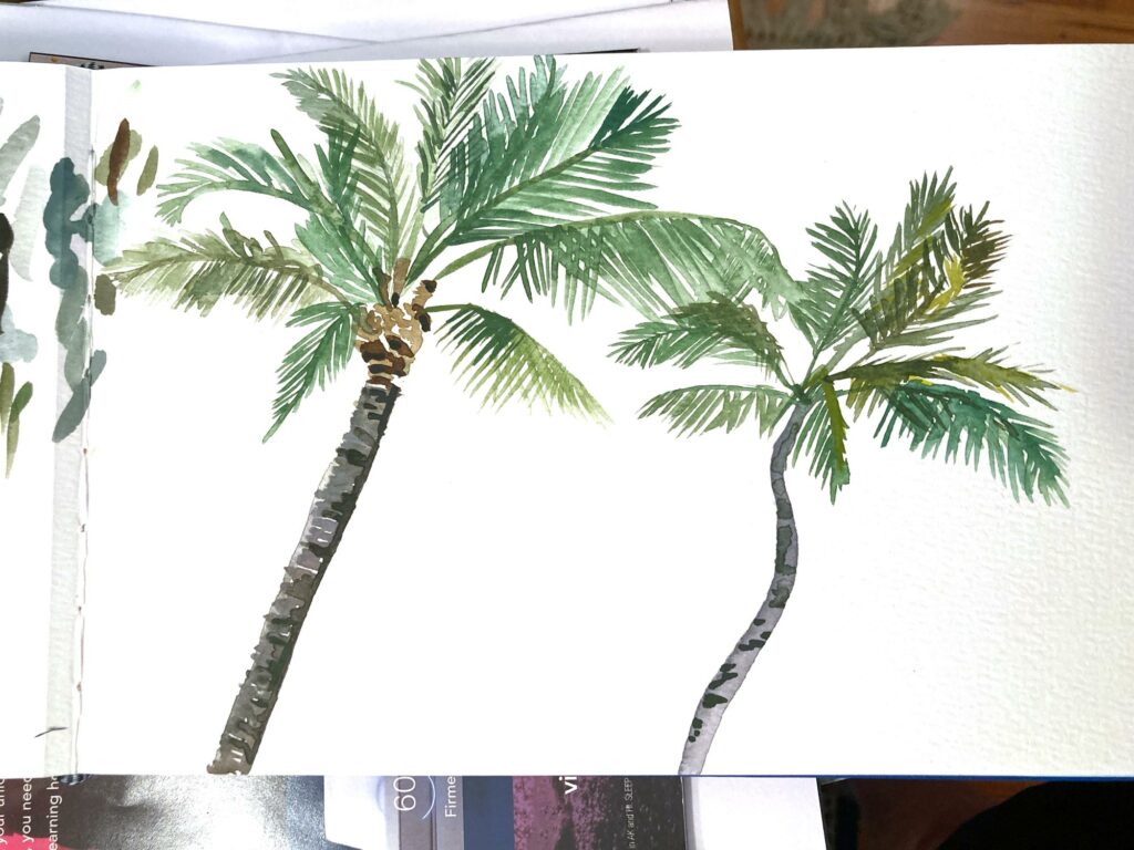palm trees watercolor diane gibbs